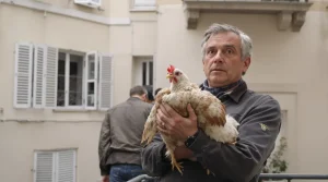 En pleine pénurie d'œufs, vous rêvez d’installer un poulailler ? Les règles à connaître en copropriété