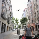 Rare en ville hier, désormais fréquent : cet oiseau majestueux s’installe hors des campagnes et offre un magnifique spectacle aux citadins